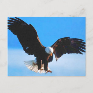 Bald American Eagle Briefkaart
