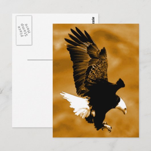 Bald American Eagle Briefkaart (Voorkant / Achterkant)