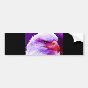 Bald American Eagle Bumpersticker