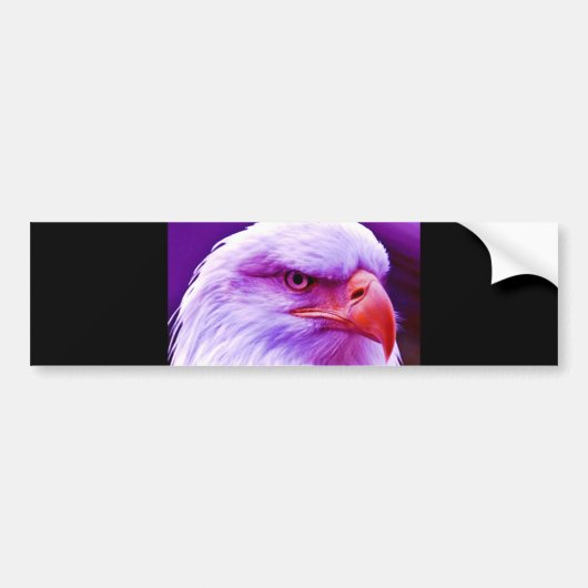 Bald American Eagle Bumpersticker (Voorkant)