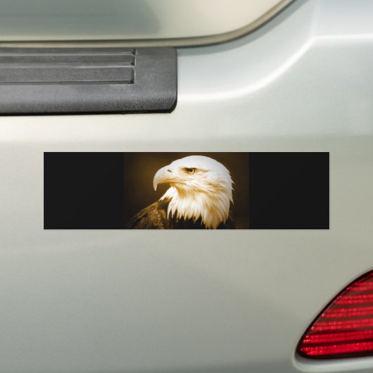 Bald American Eagle Eye Bumpersticker (Op auto)