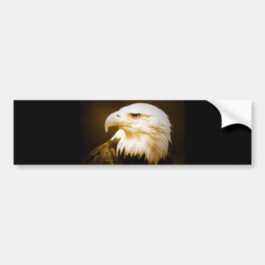 Bald American Eagle Eye Bumpersticker (Voorkant)