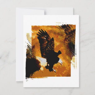 Bald American Eagle Landing