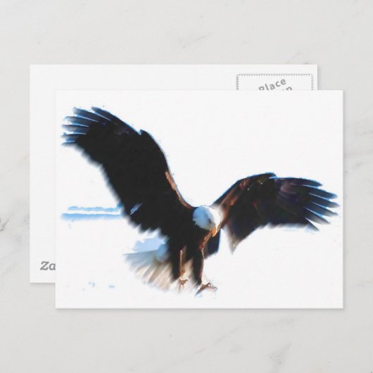 Bald American Eagle Landing Briefkaart (Voorkant / Achterkant)