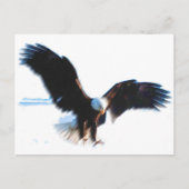 Bald American Eagle Landing Briefkaart (Voorkant)