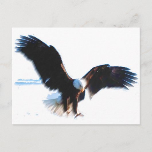 Bald American Eagle Landing Briefkaart (Voorkant)
