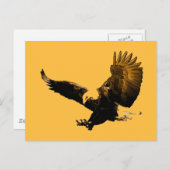 Bald American Eagle Landing Briefkaart (Voorkant / Achterkant)