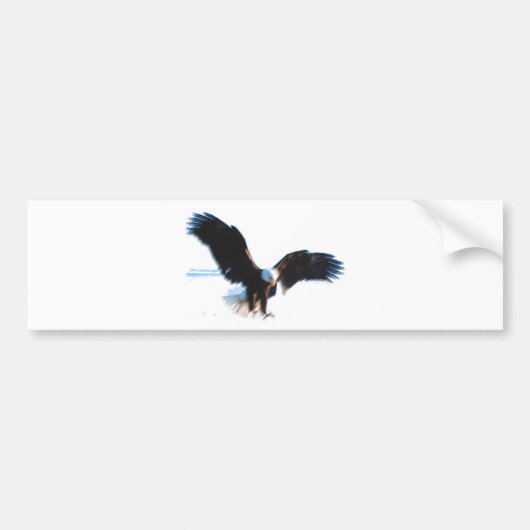 Bald American Eagle Landing Bumpersticker (Voorkant)