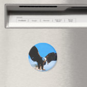 Bald American Eagle Magneet (Insitu (Vaatwasser))