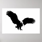 Bald American Eagle Poster Print BW Eagles Posters (Voorkant)