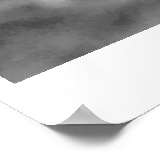 Bald American Eagle Poster Print BW Eagles Posters (Hoek)