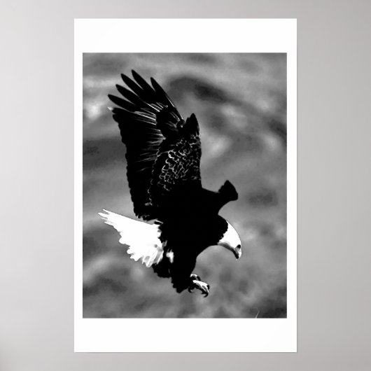 Bald American Eagle Poster Print BW Eagles Posters (Voorkant)