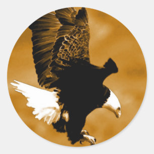 Bald American Eagle Ronde Sticker