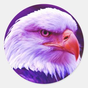 Bald American Eagle Ronde Sticker