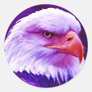 Bald American Eagle Ronde Sticker