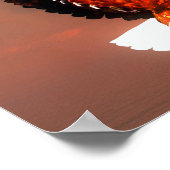 Bald-arend Poster (Hoek)