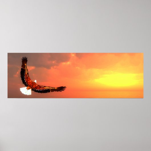 Bald-arend Poster (Voorkant)