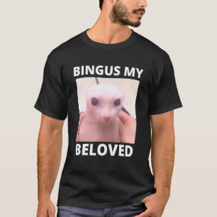 Bald Bingus My Beloved Hairless Sphinx Cat T-shirt