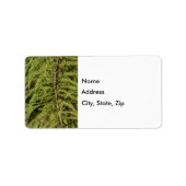 Bald Cypress Branch Etiket (Voorkant)