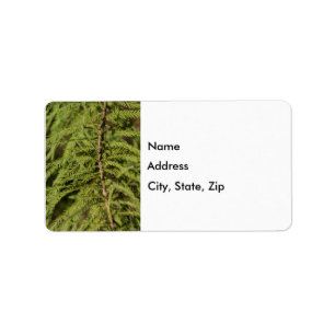 Bald Cypress Branch Etiket