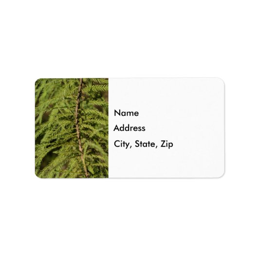 Bald Cypress Branch Etiket (Voorkant)