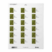 Bald Cypress Branch Etiket (Full Sheet)