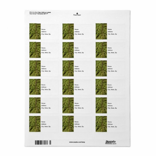Bald Cypress Branch Etiket (Full Sheet)