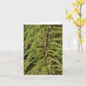 Bald Cypress Branch Kaart (Gele Bloem)