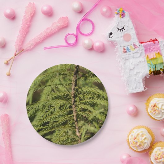 Bald Cypress Branch Papieren Bordje (Feest)