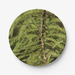 Bald Cypress Branch Papieren Bordje