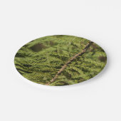 Bald Cypress Branch Papieren Bordje (Gekanteld)