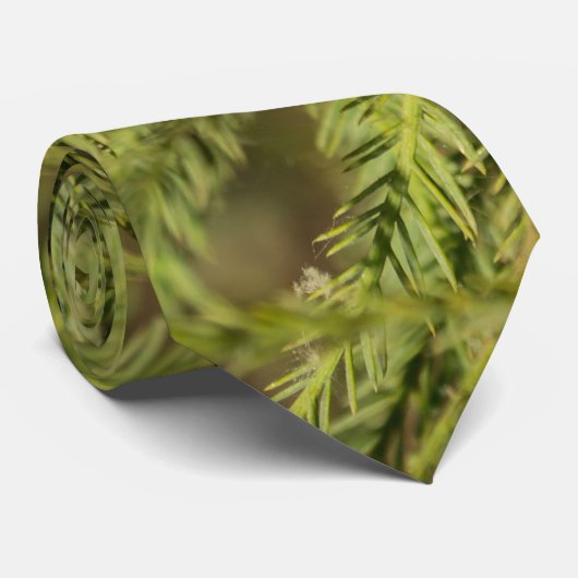 Bald Cypress Branch Stropdas (Opgerold)