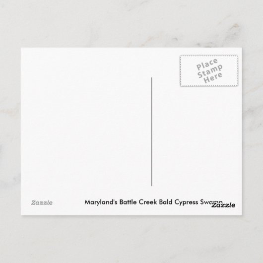 Bald Cypress-briefkaart Briefkaart (Achterkant)