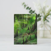 Bald cypress en Pond:Briefkaart Briefkaart (Staand voorkant)