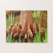 Bald Cypress Knees Legpuzzel (Horizontaal)