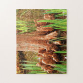 Bald Cypress Knees Legpuzzel (Verticaal)