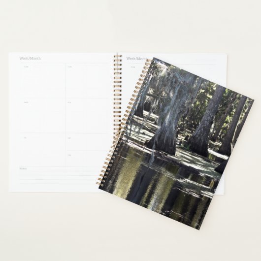 Bald Cypress Planner (Display)