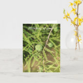 Bald Cypress Seed Cone denking you Kaart (Gele Bloem)