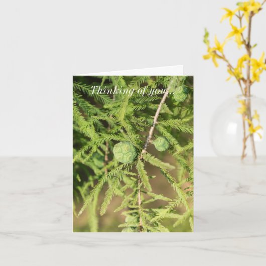 Bald Cypress Seed Cone denking you Kaart (Gele Bloem)