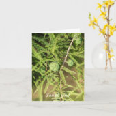 Bald Cypress Seed Cone Hartelijk dank Kaart (Gele Bloem)