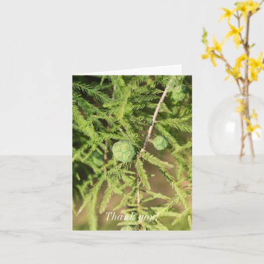 Bald Cypress Seed Cone Hartelijk dank Kaart (Gele Bloem)