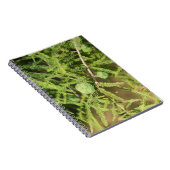 Bald Cypress Seed Cone Notitieboek (Rechterzijde)