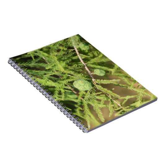 Bald Cypress Seed Cone Notitieboek (Rechterzijde)