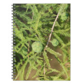 Bald Cypress Seed Cone Notitieboek (Voorkant)