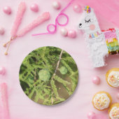 Bald Cypress Seed Cone Papieren Bordje (Feest)