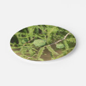 Bald Cypress Seed Cone Papieren Bordje (Gekanteld)