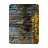 Bald Cypress Tree in Swamp, Big Cypress Preserve Magneet (Verticaal)