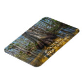 Bald Cypress Tree in Swamp, Big Cypress Preserve Magneet (Linkerzijde)