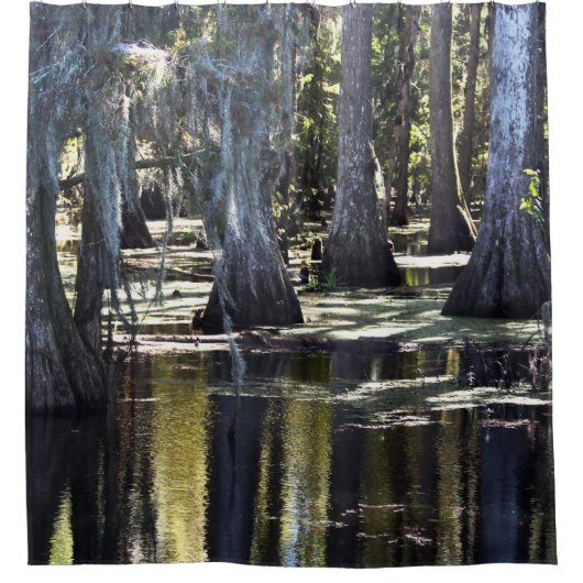 Bald Cypress Trees Douchegordijn (Voorkant)