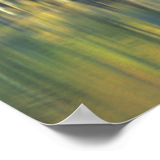 Bald Cypress Trees | Hoefijzer Lake Illinois Poster (Hoek)